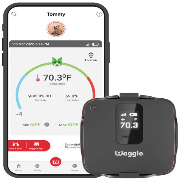 Waggle Monitor de Temperatura sem fio Remoto para Animais c, Alertas de Email e SMS 24H