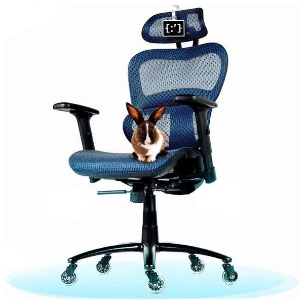 Cadeira de Escritório nômica com suporte lombar e rodas de patins, OBJECTCHAIR ERGO PRO BLACK, Preto