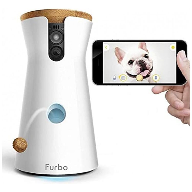 Camera-Interativa-com-Alimentacao-por-Aplicativo-Mobile-foto-0