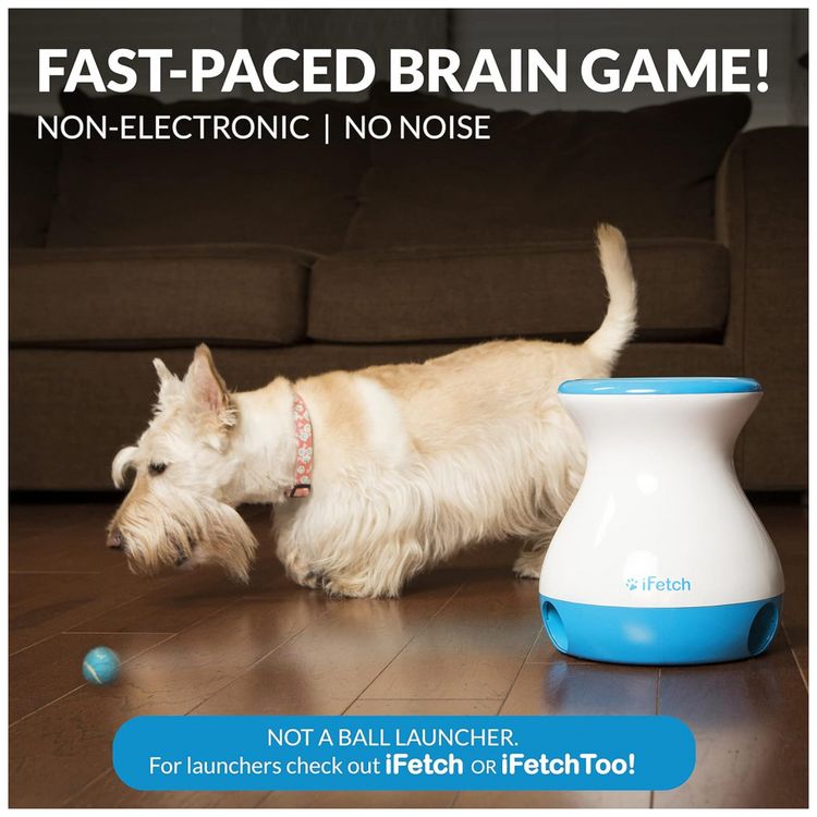 Mini-Jogo-Interativo-para-Caes-iFetch-Frenzy-foto-1