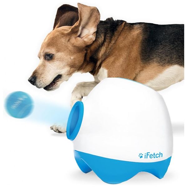 iFetch-Too-Lancador-De-Bola-Muito-Interativo-Para-Caes-Lanca-foto-0