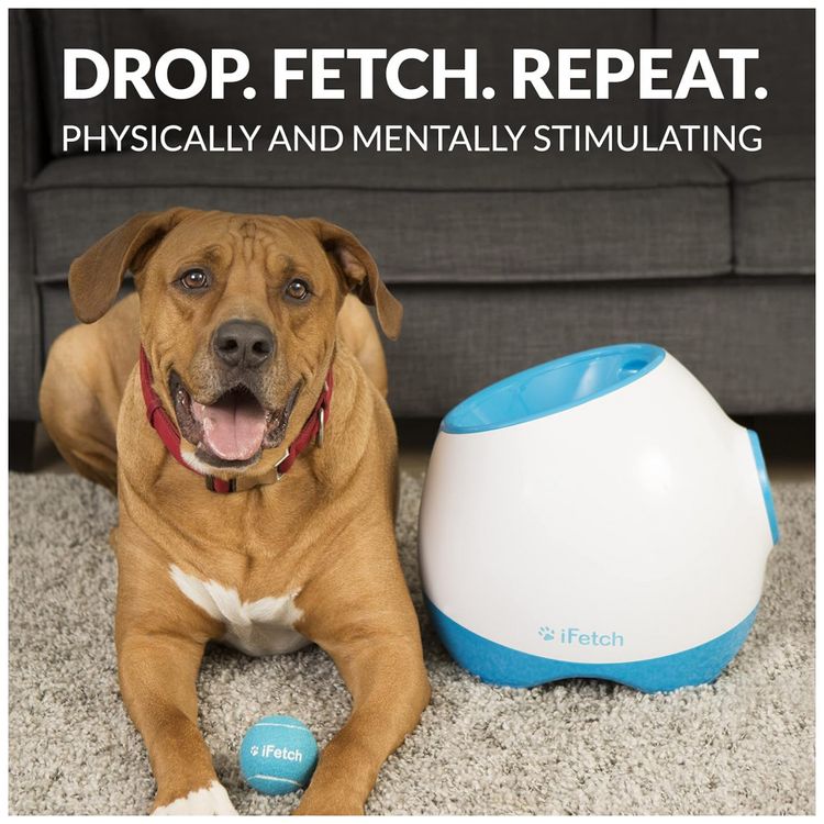 iFetch-Too-Lancador-De-Bola-Muito-Interativo-Para-Caes-Lanca-foto-1