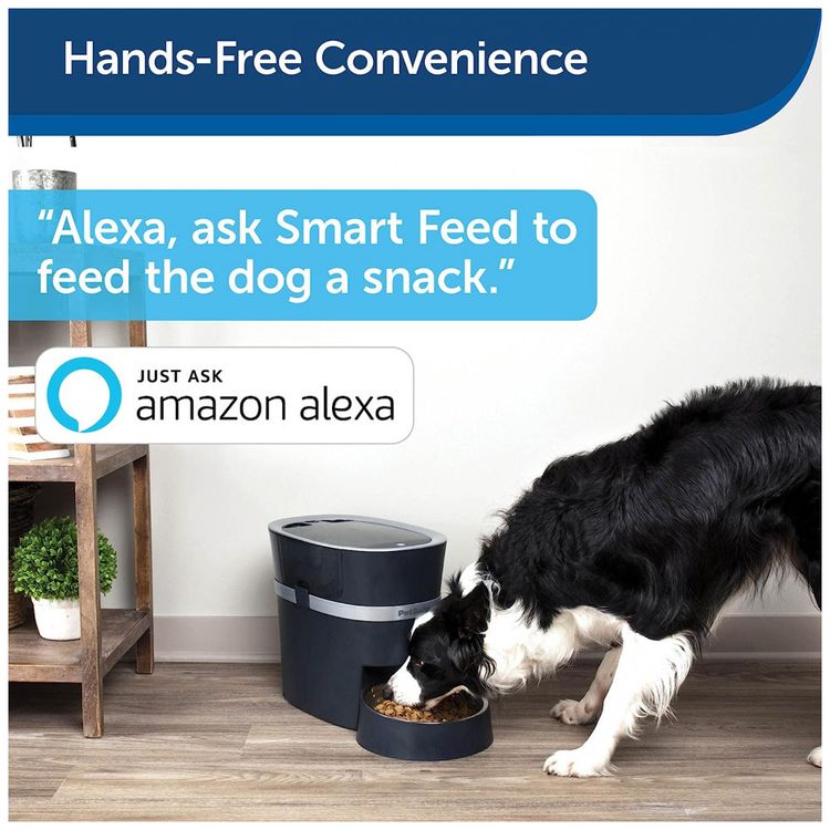Comedouro-Automatico-Inteligente-Caes-e-Gatos-Wi-Fi-PETSAFE-foto-4