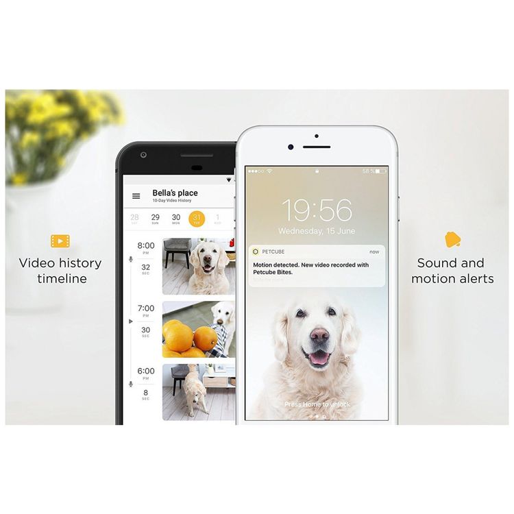 Petcube-Camerra-de-Monitoramento-Pet-c-Laser-Interativo-HD-foto-5