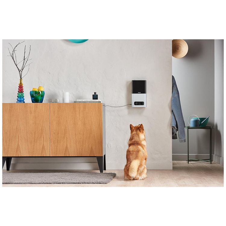 Dispensador-de-Racao-com-Camera-1080p-Wi-Fi-Bluetooth-foto-5