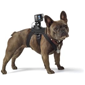 Fetch-Dog-Harness-Coleira-suporte-GOPRO-ADOGM-001-Preto-foto-0