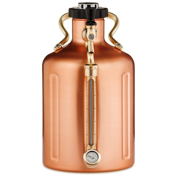 Chopeira-Portatil-5L-com-Torneira-e-Regulador-de-CO2-Aco-foto-1