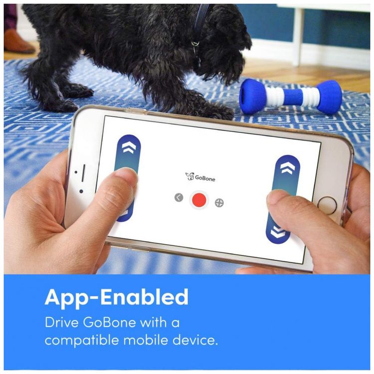 GoBone-Interactive-Smart-Appliance-Brinquedo-Interativo-com-foto-3