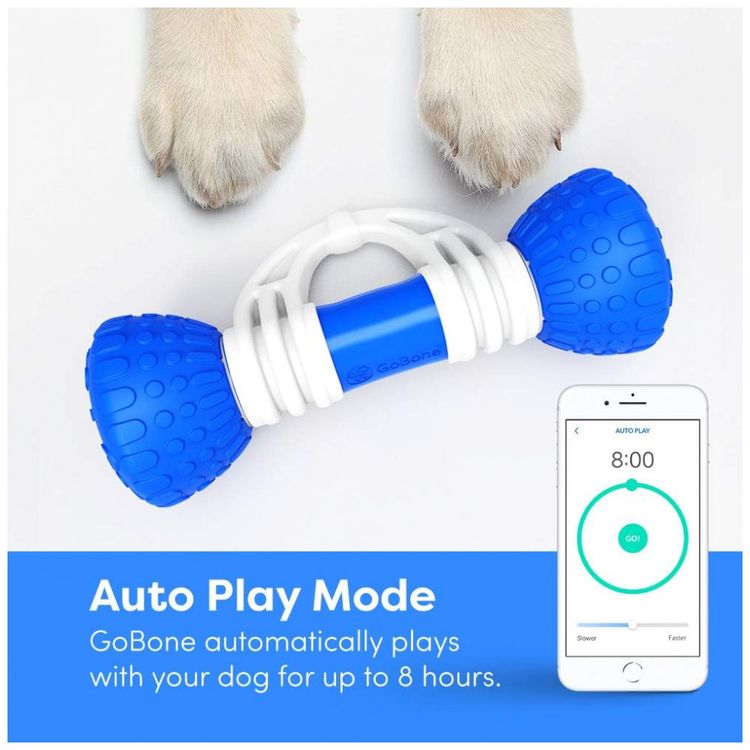 GoBone-Interactive-Smart-Appliance-Brinquedo-Interativo-com-foto-4