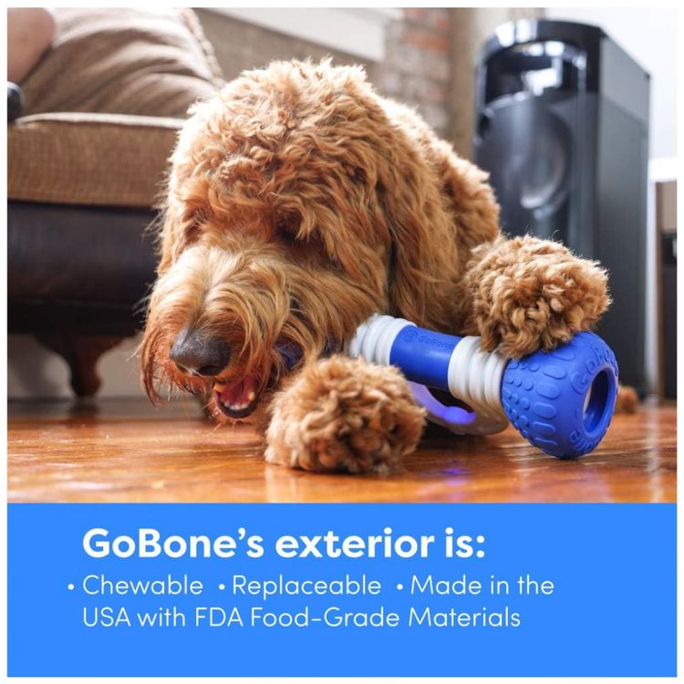 GoBone-Interactive-Smart-Appliance-Brinquedo-Interativo-com-foto-5