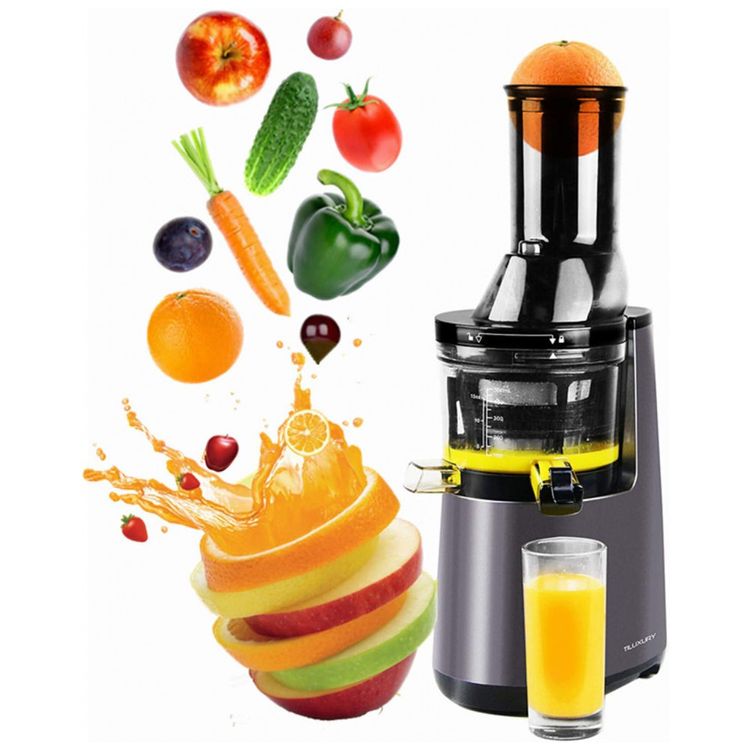 Espremedor-Moedor-Frutas-Legumes-250W-40-50-RPM-foto-0