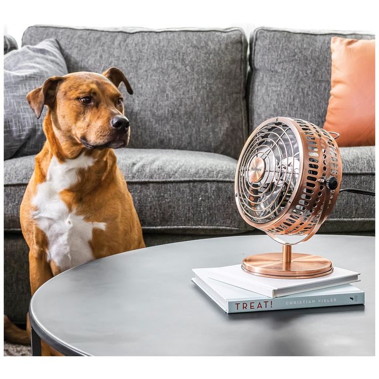 Ventilador-de-Mesa-Heritage-Retro-Cobre-escuro-110v-foto-4