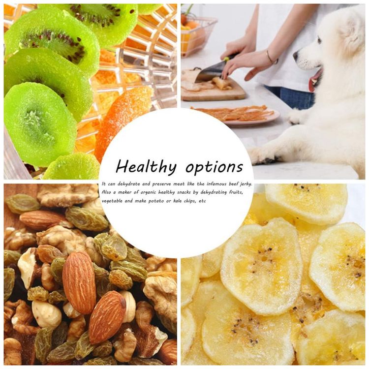 Desidratador-de-alimentos-multicamadas-Secador-de-frutas-e-foto-3