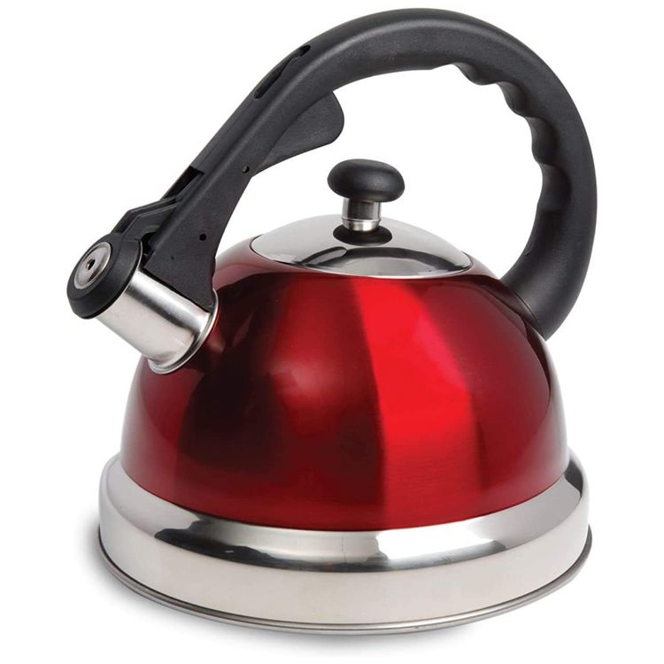 Chaleira-de-cha-apito-de-aco-inoxidavel-Mr-Claredale-22-foto-0