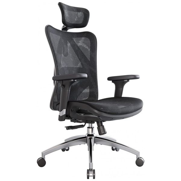 SIHOO Cadeira de Escritório Ergonômica Ajustável c, Apoio de Braço 3D e apoio Lombar