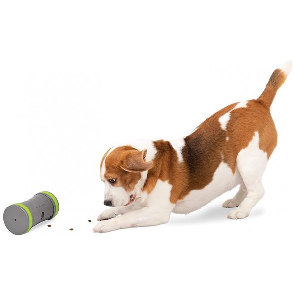 Brinquedo Interativo Automático para Cães, Dispensador de Petiscos, PETSAFE PTY00 16858, Cinza