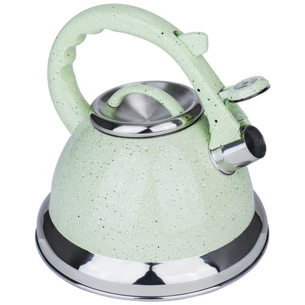 Tea espelho verde Fogão Topo Bule de chá, bule de fogão de grau alimentício com alça de resistência ao calor, antiferrugem e assobio alto, chaleira