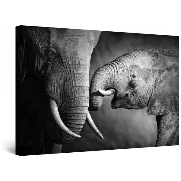 Quadro Decorativo Mãe Elefante 81 x, STARTONIGHT, Cinza