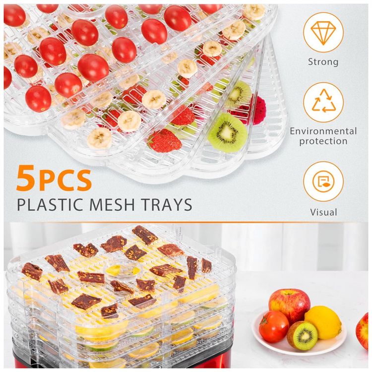 Desidratador-de-Alimentos-com-5-Bandejas-e-Controle-de-foto-4