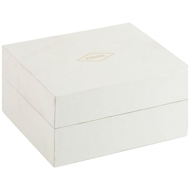 Relogio-Masculino-Analogico-Quartzo-FOSSIL-FS5663-Marrom-foto-5