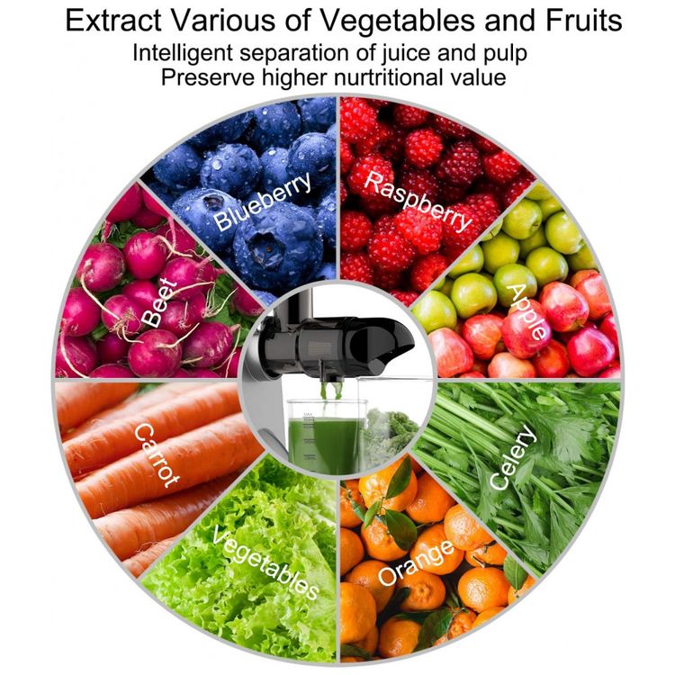 Centrifuga-de-Frutas-2-Velocidades-Aco-Inoxidavel-150W-foto-1