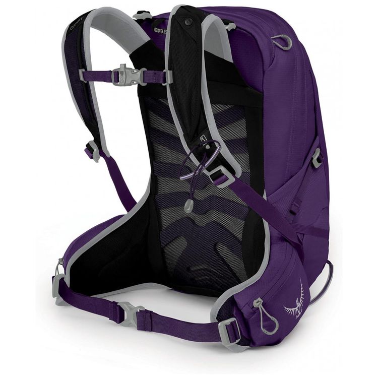 Mochila-de-Acampamento-Camping-20L-Impermeavel-Roxa-foto-1