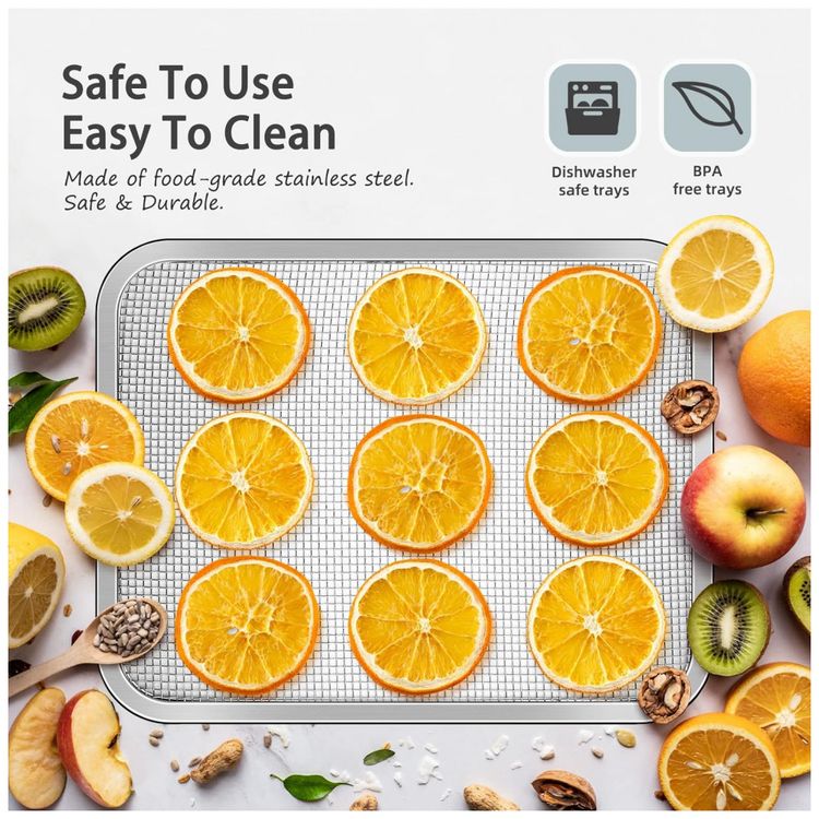 desidratador-de-Alimentos-com-4-Bandejas-e-Painel-de-foto-5