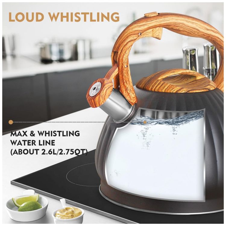 Chaleira-de-Cha-3L-com-Apito-Aco-Inoxidavel-PERJOY-kettle-foto-4