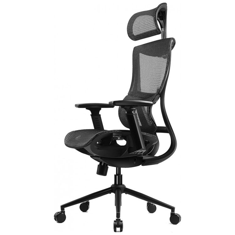 Dowinx-Cadeira-de-Escritorio-Ergonomica-Giratoria-e-foto-0