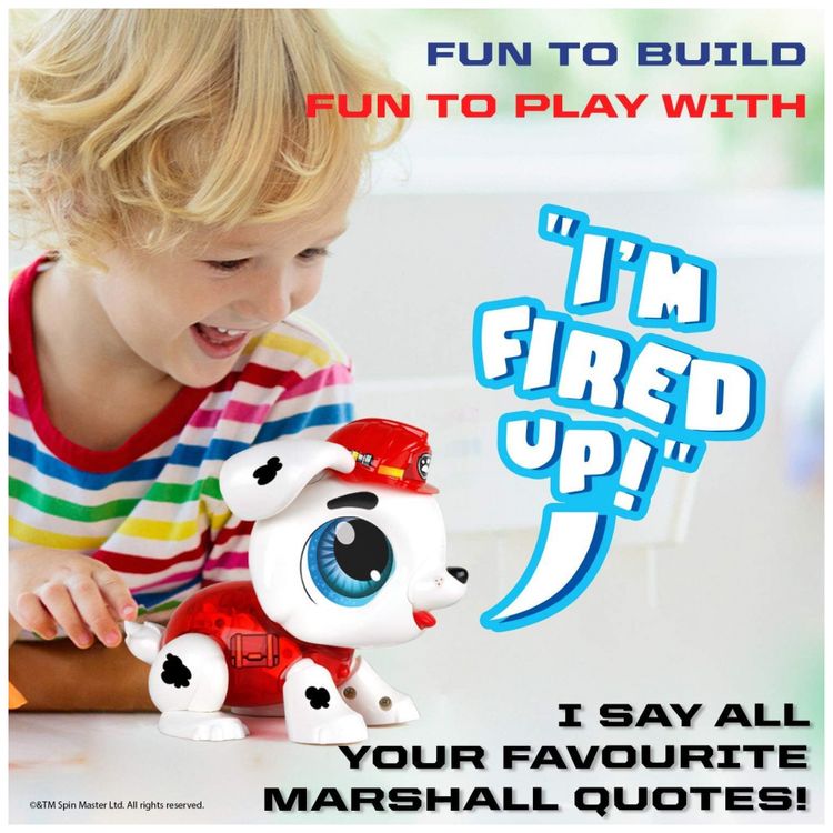 Patrulha-Canina-Robo-Educativo-para-Montagem-Marshall-para-foto-4