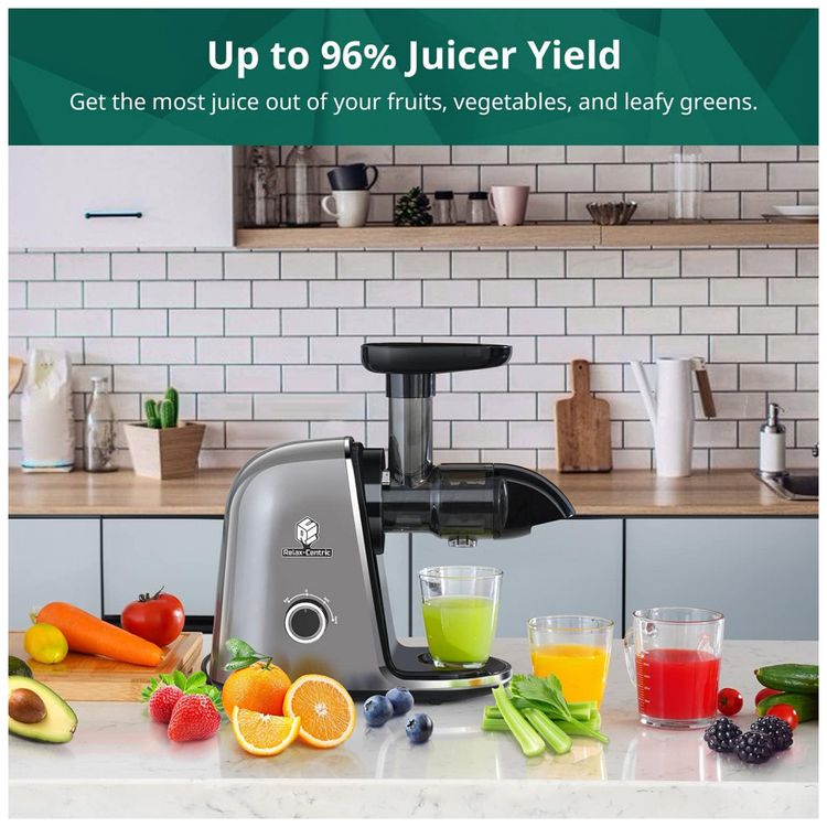 Juicer-Machines-Slow-Masticating-Juicer-Grey-RELAX-CENTRIC-foto-3