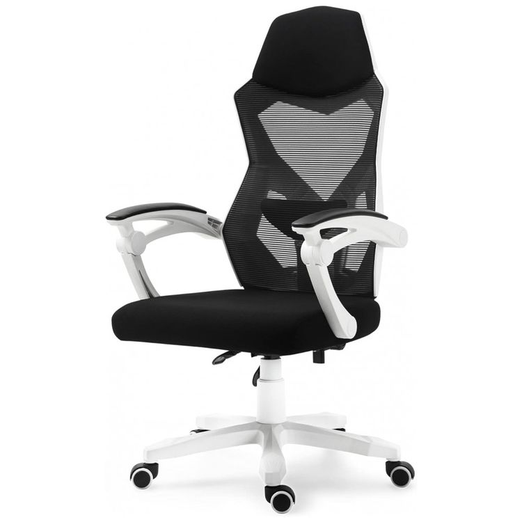 Cadeira-de-Escritorio-Ergonomica-Giratoria-com-Suporte-foto-0