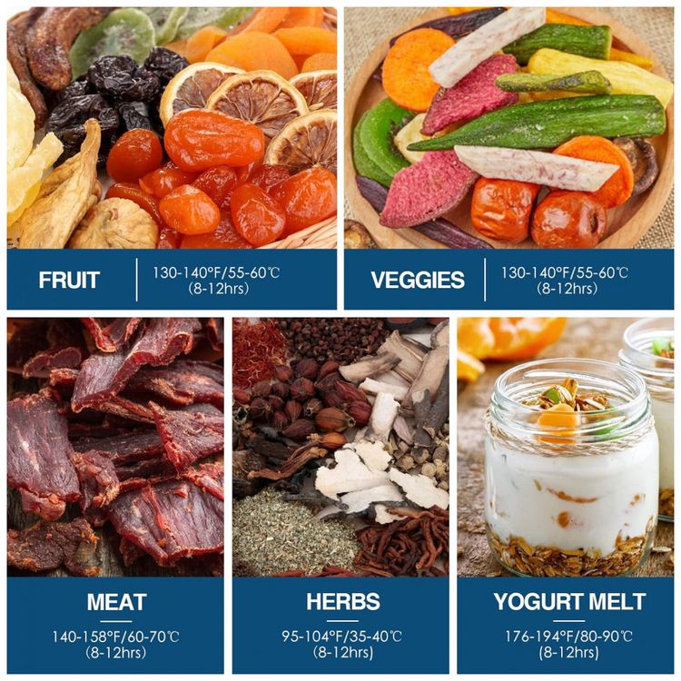 Desidratador-de-Alimentos-9-Bandejas-e-Controle-de-foto-5