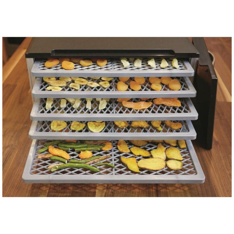 Desidratador-de-Alimentos-com-5-Bandejas-e-Controle-de-foto-3