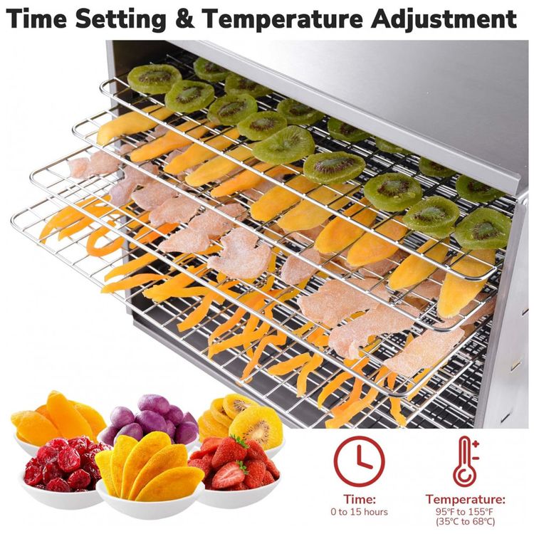 Desidratador-de-Alimentos-com-10-Bandejas-e-Controle-de-foto-3