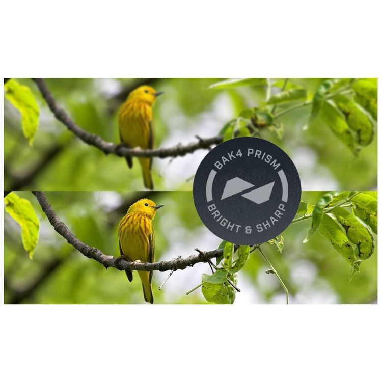 Binoculos-8x25-A-prova-d-Visao-100-Metros-BUSHNELL-foto-2