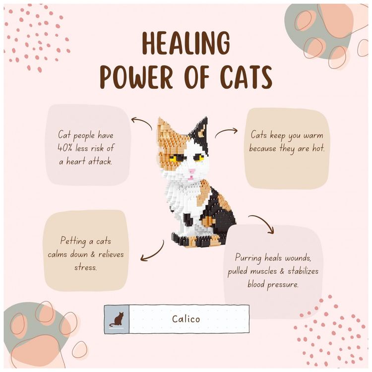 Kit-de-Construcao-Gato-3D-com-1390-Pecas-BLOCK-CENTER-foto-4