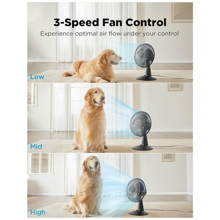 Ventilador-de-Mesa-PF0ABB-com-3-Velocidades-e-Inclinacao-foto-3