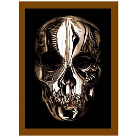 Alexander-McQueen-Beleza-Selvagem-Capa-Dura-em-Ingles-240-foto-0