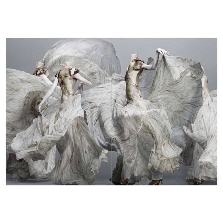 Alexander-McQueen-Beleza-Selvagem-Capa-Dura-em-Ingles-240-foto-1