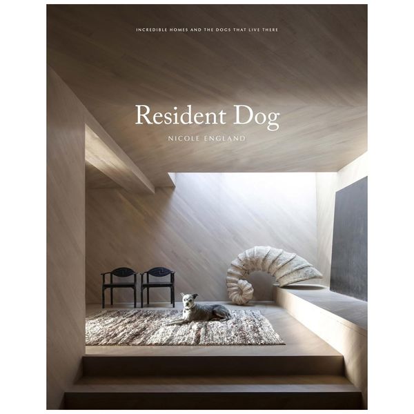 Resident-Dog-Volume-Two-Casas-Incriveis-e-os-Caes-que-Vivem-foto-0