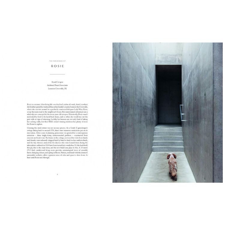Resident-Dog-Volume-Two-Casas-Incriveis-e-os-Caes-que-Vivem-foto-2