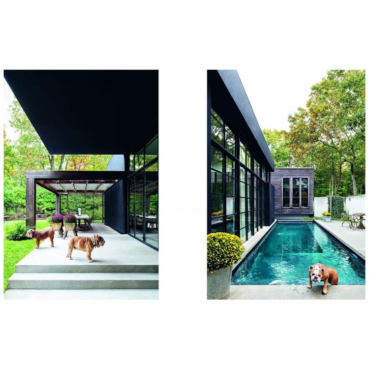 Resident-Dog-Volume-Two-Casas-Incriveis-e-os-Caes-que-Vivem-foto-5