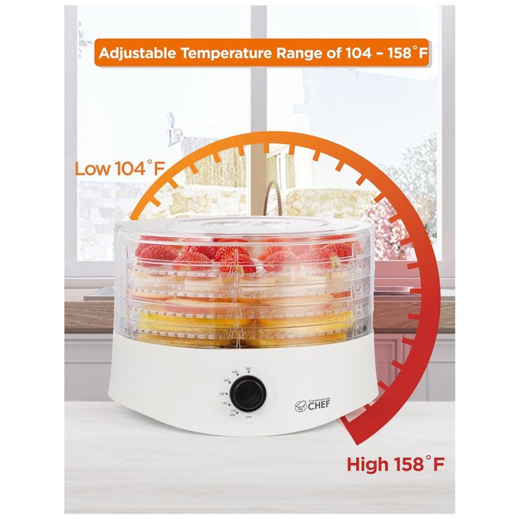 Desidratador-de-Alimentos-com-5-Bandejas-e-Controle-de-foto-4