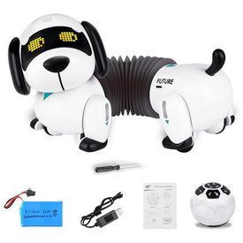 Robo-Cao-Programavel-Dollox-com-Controle-Remoto-e-Funcao-de-foto-0