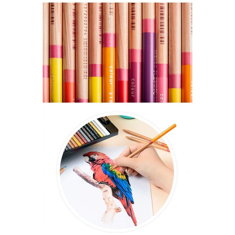 Kit-Lapis-de-Cor-Profissional-a-Base-de-Oleo-com-Estojo-100-foto-4