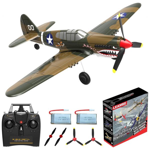 Aviao-de-Controle-Remoto-com-Sistema-de-Estabilizacao-Xpilot-foto-0