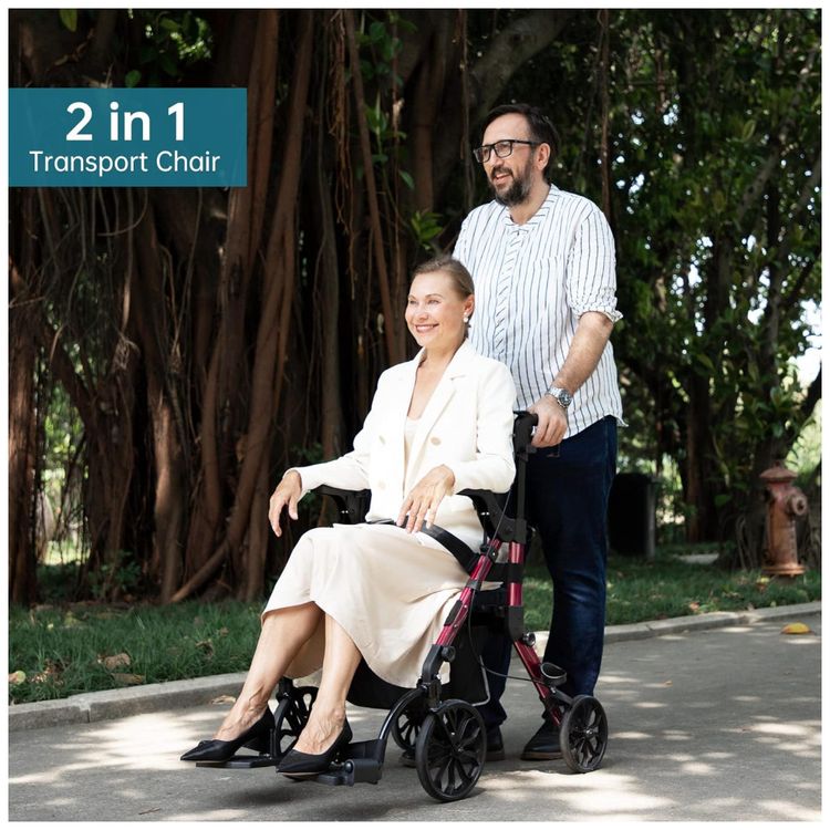 Andador-2-em-1-para-Adultos-e-Idosos-de-ate-136-kg-Dobravel-foto-1