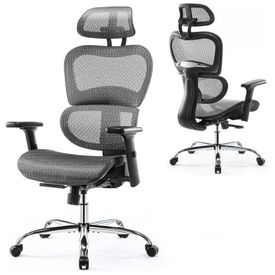 Cadeira-de-Escritorio-Ergonomica-com-Suporte-Lombar-e-Apoios-foto-0