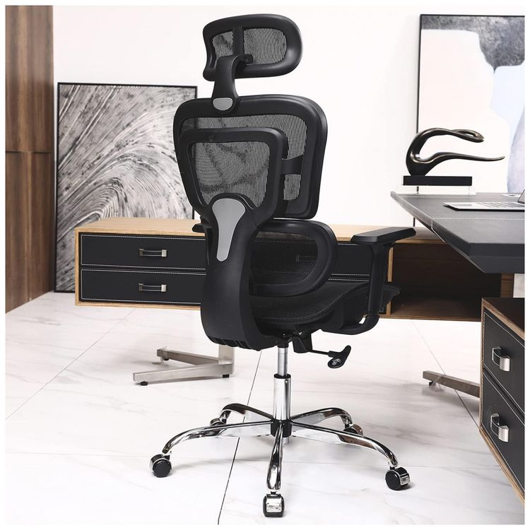 Cadeira-Ergonomica-com-Apoio-para-Lombar-e-Bracos-foto-0